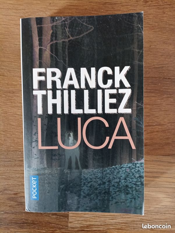 Livre "LUCA" de Franck Thilliez (image 1)