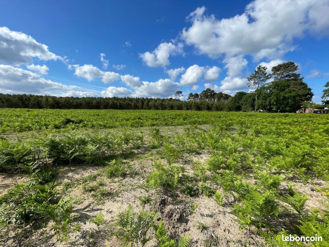 Terrain 969 m² Lit Et Mixe · à Lit-Et-Mixe · 150 000 €