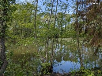 Terrain 827 m² Cesson Sevigne