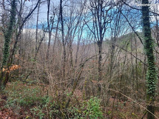 Terrain 42 866 m² Perigueux