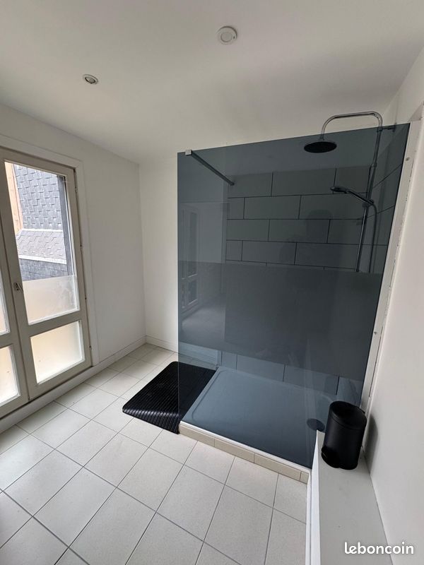 Duplex 11 pièces 280 m² (image 11)