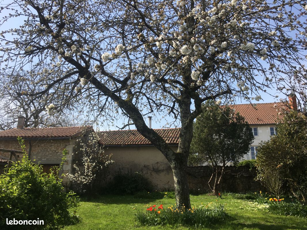 Maison de ville au cœur du Poitou avec beau jardin clos, proche de Poitiers (image 4)