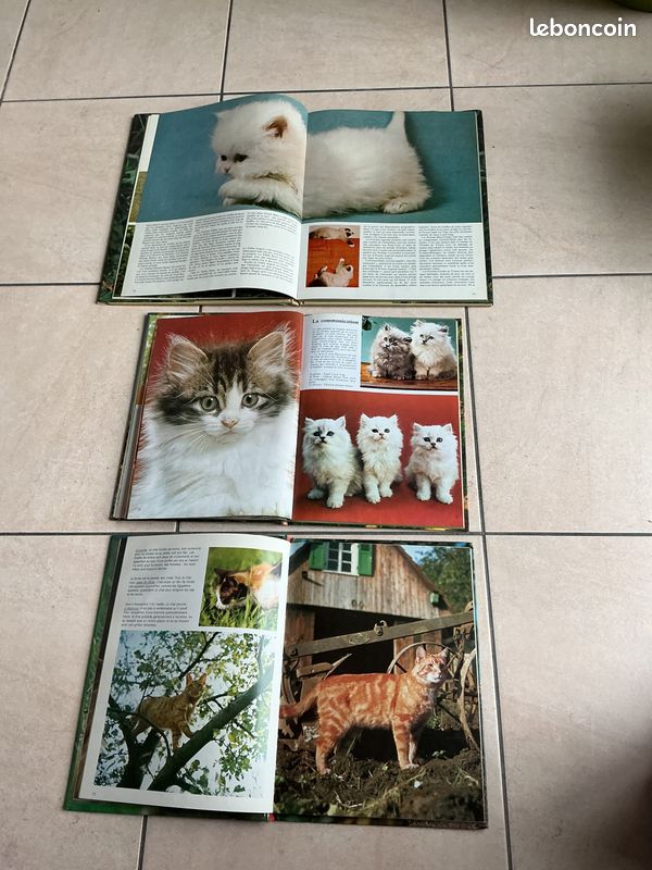Lot 3 livres photos chats et chatons (image 3)
