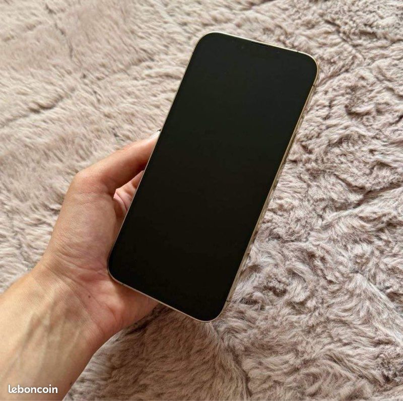 IPhone a un prix incroyable (image 2)