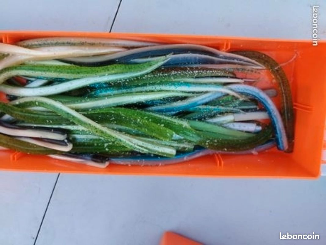 Leurres de pêche (image 1)