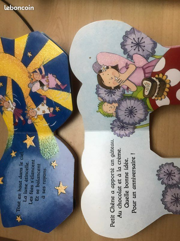 Livres Enfants au pays enchanté (image 3)