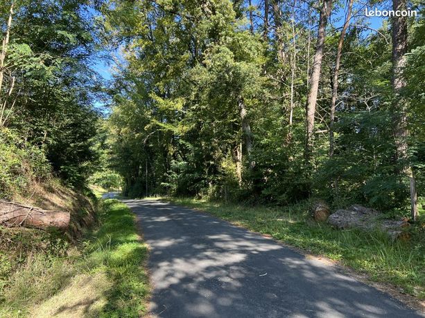 Terrain 14 696 m² Brive La Gaillarde