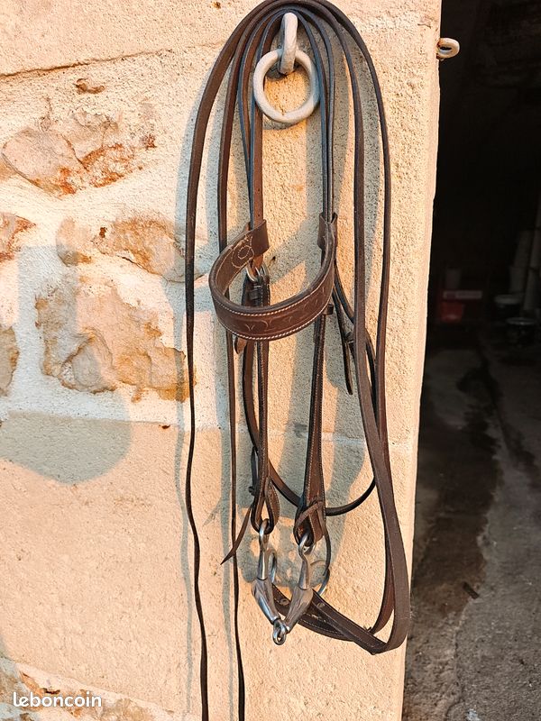 Mors à Filet cheval – Balises Snaffle Bit– FG Pro Shop Inc