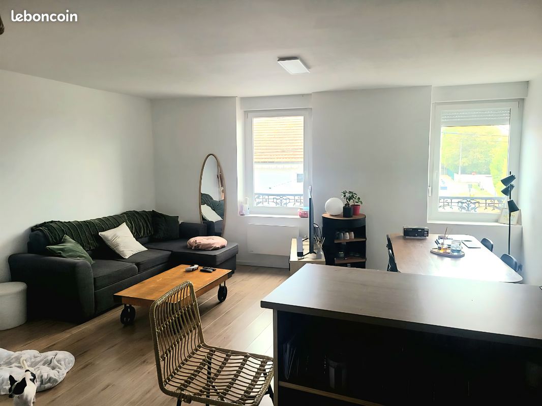 Appartement 2 pièces 44 m² · à Dombasle-sur-Meurthe · 44 m² · 600 €/mois
