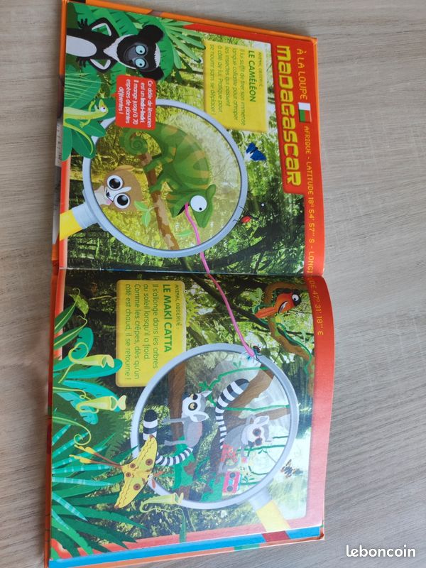 Les animaux les plus malins au monde (image 4)