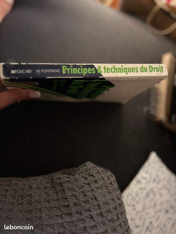 Principes et techniques du droit (image 2)