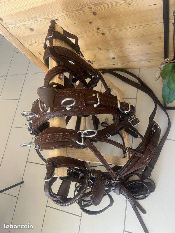 Showman Éperon en acier noir accentué avec étoile du Texas gravée en