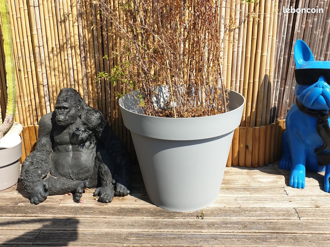 Grand pot plastique 100cm (image 1)