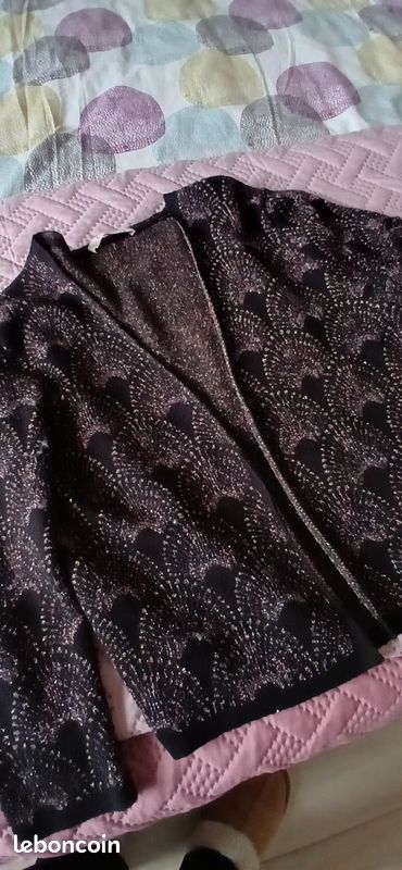 Petit gilet pailleté pour les fêtes (image 1)