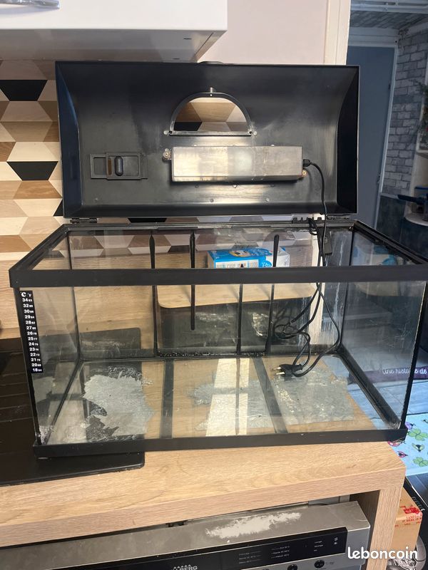 Aquarium (image 1)