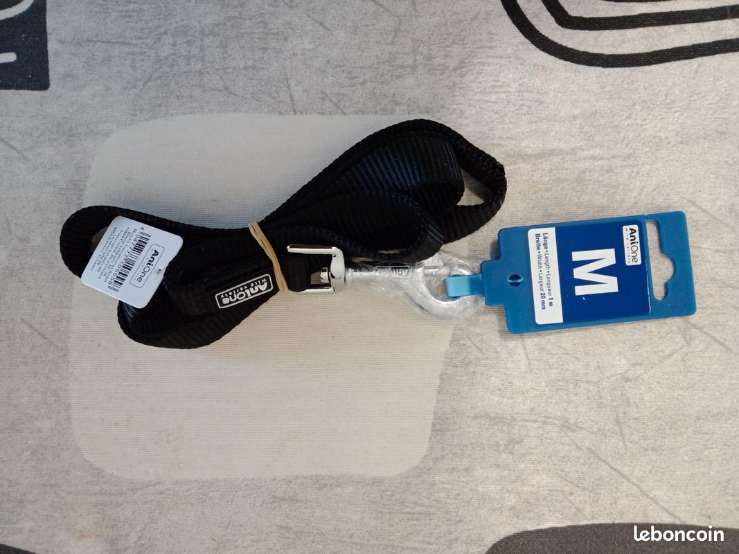 ACCESSOIRES pour CHIENS (image 3)