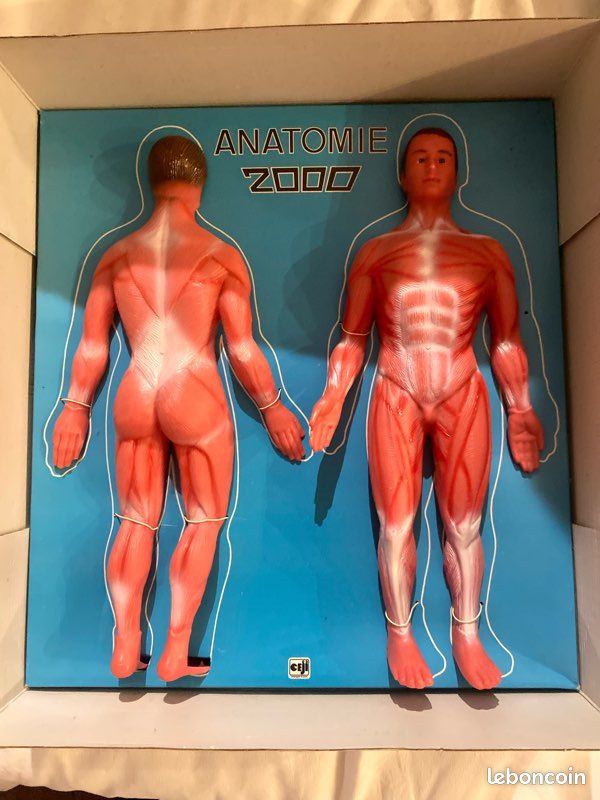 Jeu Anatomie 2000 CEJI Corps Humain – Vintage Années 70 Complet – Jeu éducatif Sciences