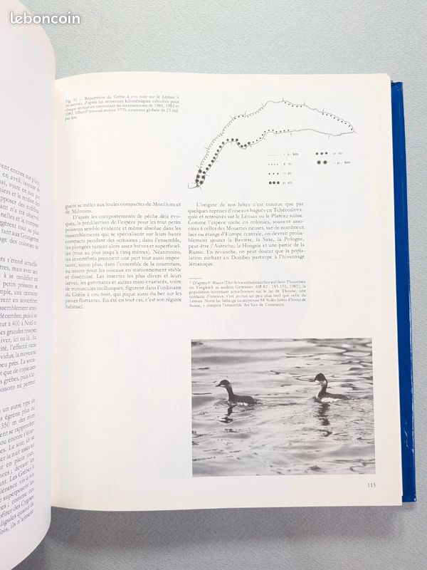 Les oiseaux du lac Léman de Paul Géroudet (image 4)