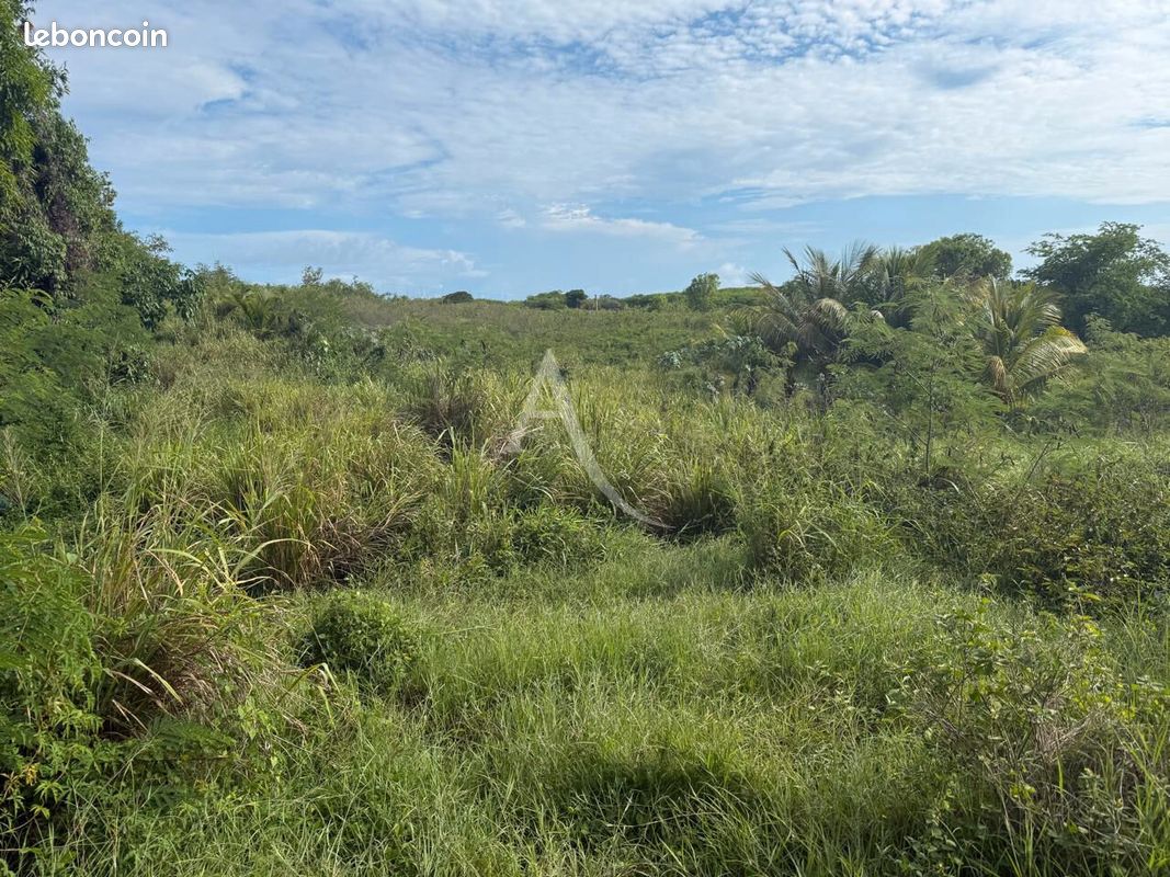 Terrain 741 m² · à Sainte-Anne · 741 m² · 140 000 €