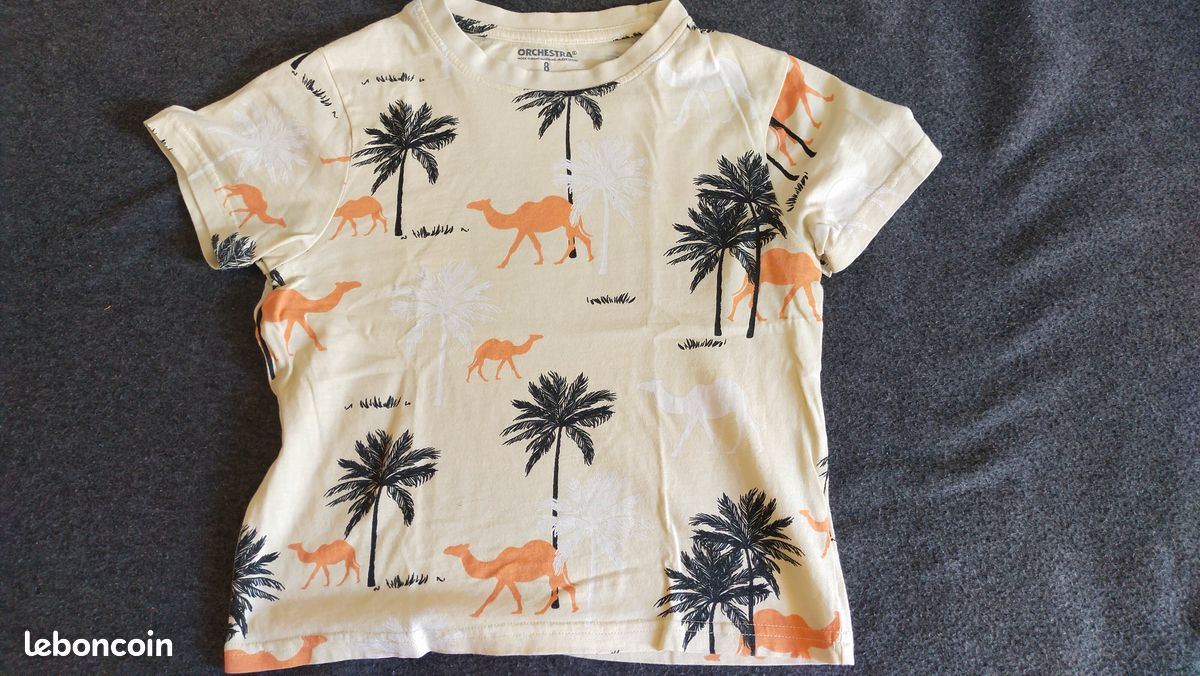 Lot 5 t-shirts garçon 8 ans (lot19) (image 13)