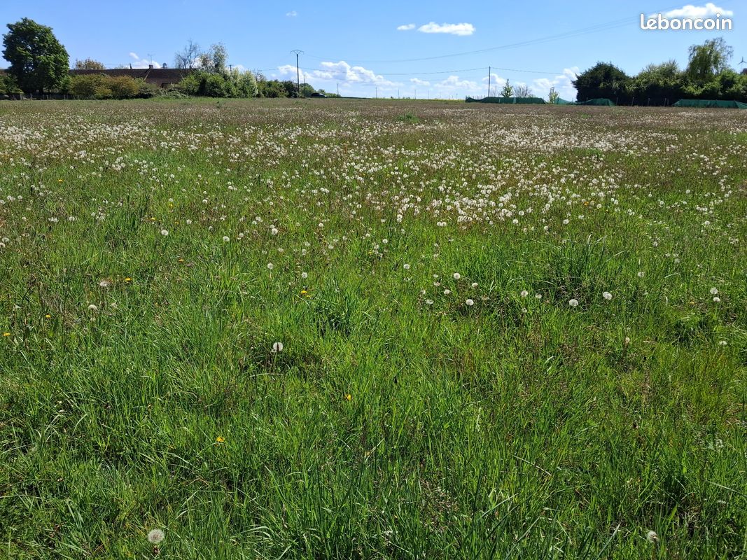 Terrain 2128 m² CHANTECOQ · 33 000 €