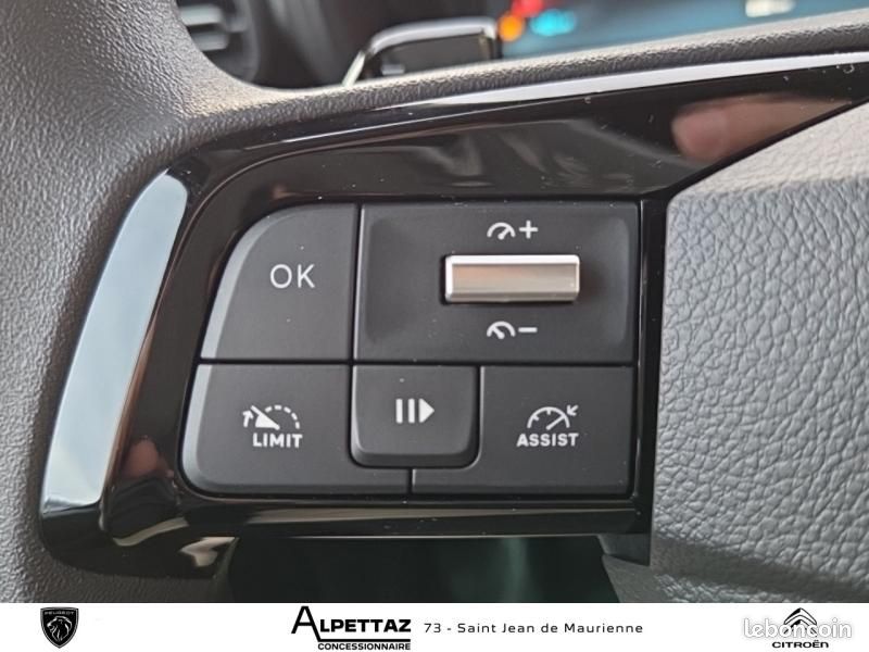 Citroen Berlingo Van DANGEL 4X4 Taille M Diesel 130ch EAT8 Pack Premium Connect (image 18)