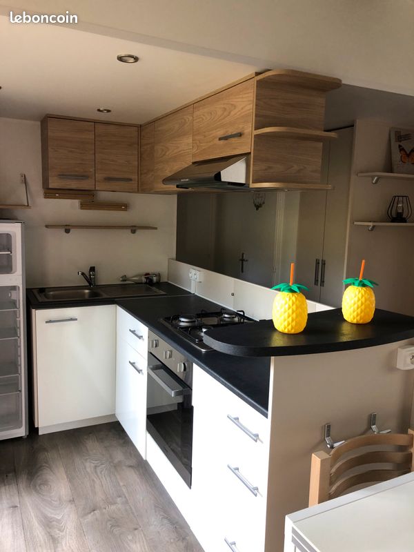 Mobile-home 6/8 pers, 2 salle de bains (image 15)