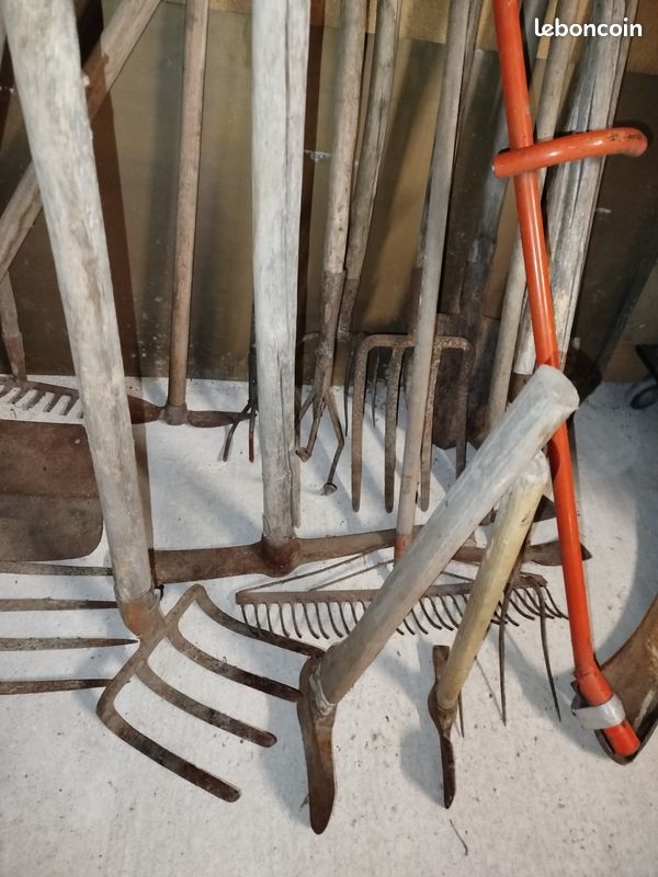 lot-d-ancien-outils-de-jardinage-jardin-plantes