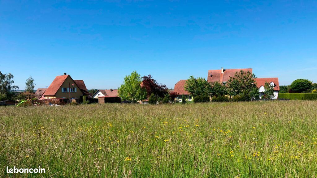 Drulingen · 32 743 €