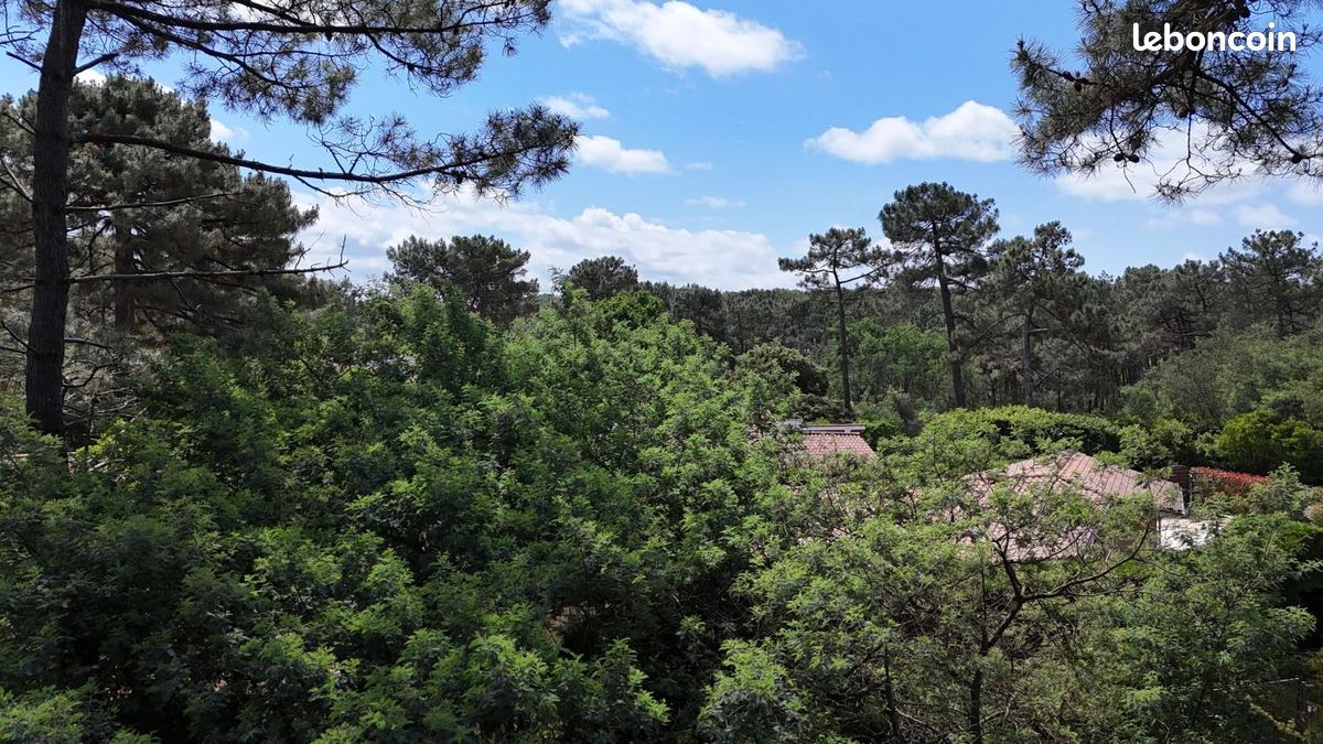 Forêt 743 m² Lacanau · 600 000 €