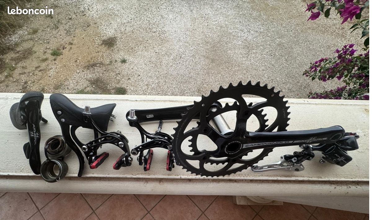 Campagnolo Plateau pour Athena CT - XPSS | 110 mm | 11 Vitesses - 50 Dents
