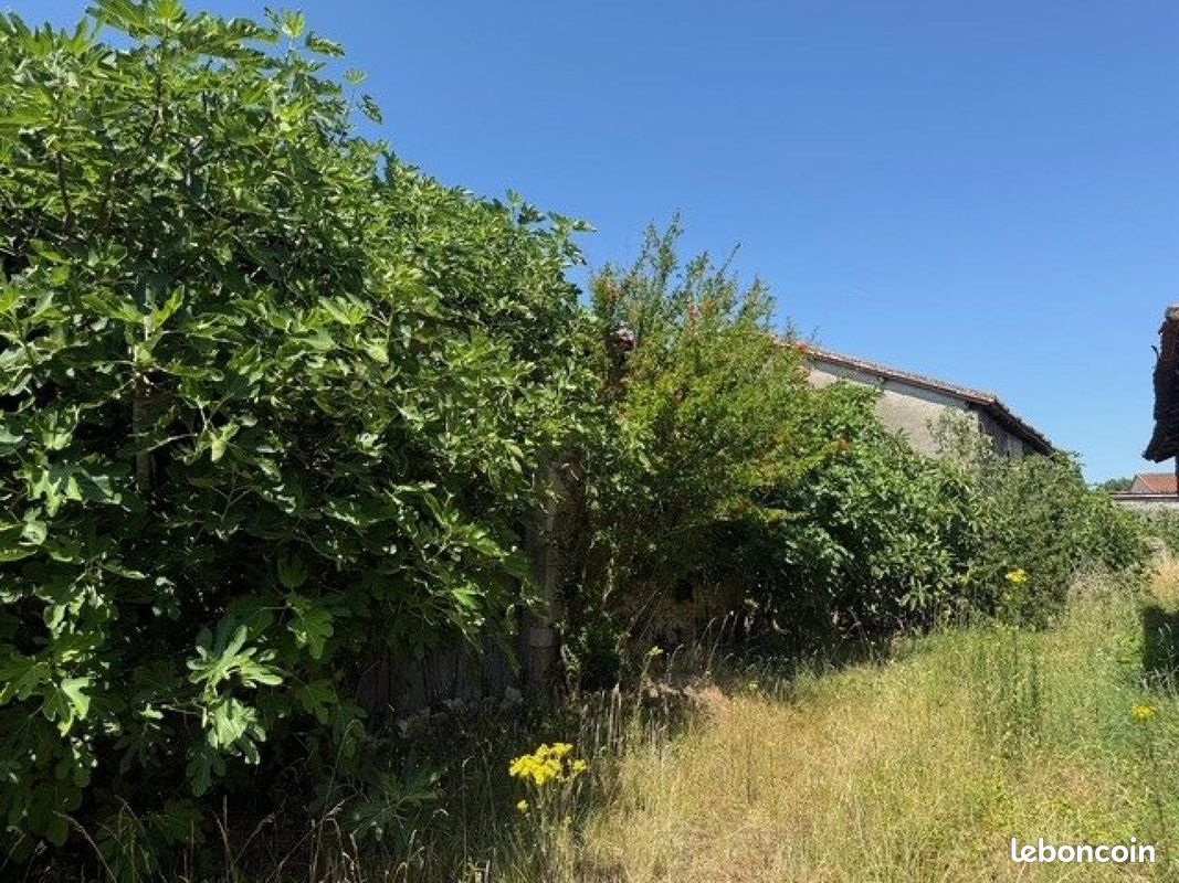 Propriété 1 pièce 127 m² (image 6)