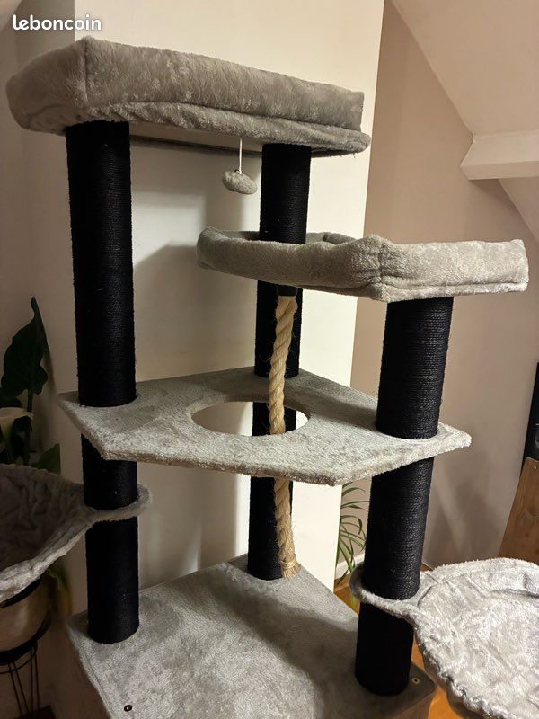 Arbre à chat (image 3)