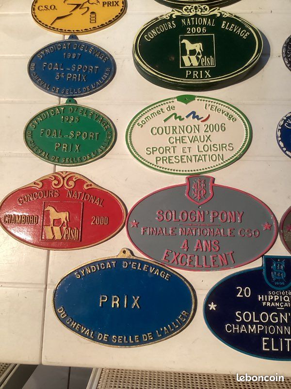 Plaque Concours Hippique C.C.E Beligneux 1967 – Vintage équitation Collection