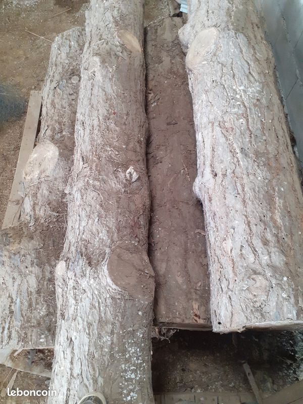 Bois (image 2)