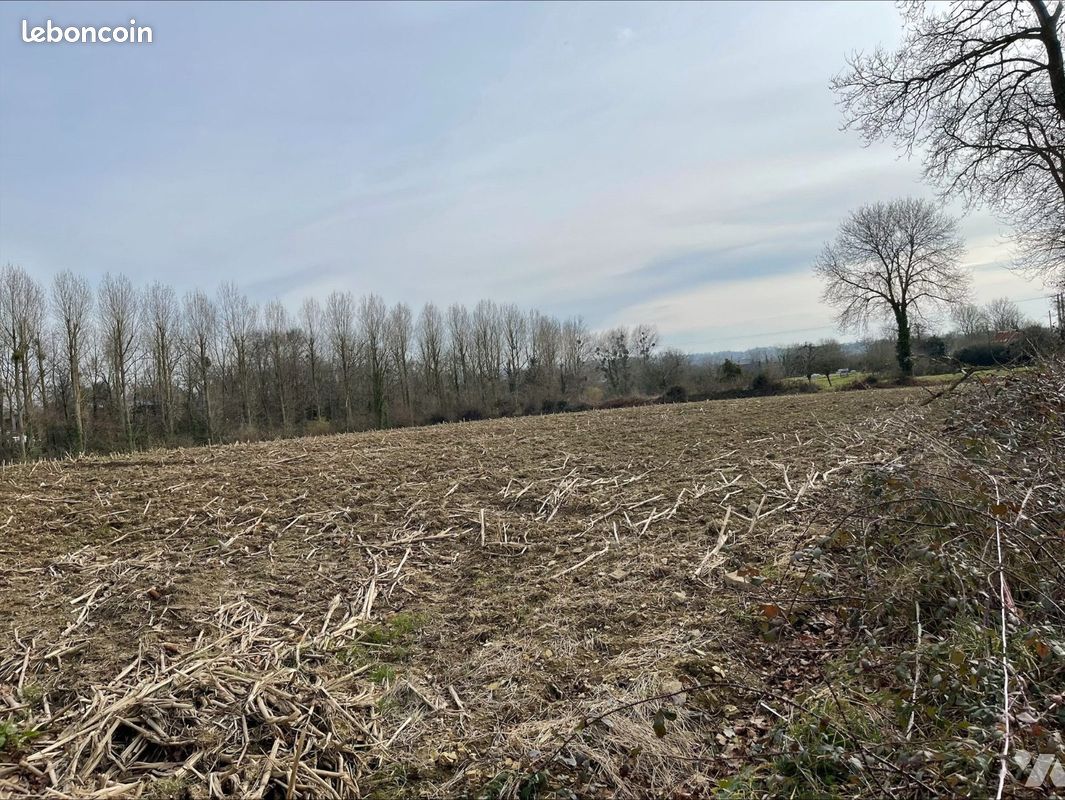 Terrain 8020 m² ST DENIS LE VETU (image 1)