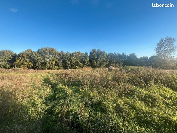 Terrain 1 118 m² Saint Martin Aux Buneaux