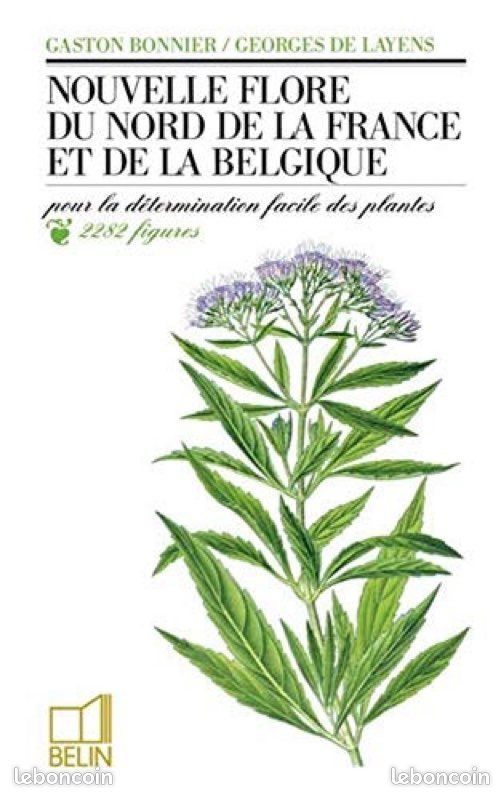 Nouvelle flore du Nord de la France et de la Belgique. Belin (image 1)