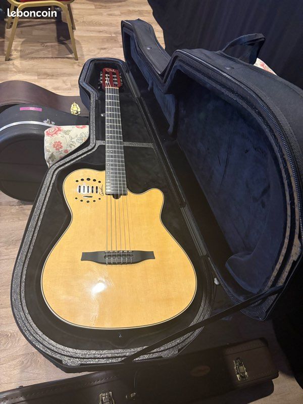 Guitare Godin Multiac Deluxe (image 2)