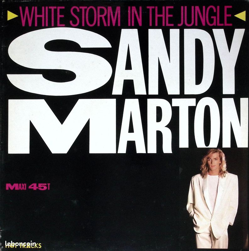 Sandy Marton - white storm in the jungle - italo disco - 1986 - Maxi 45 (image 1)