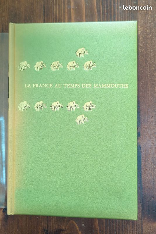 La France au temps des mammouths (image 1)