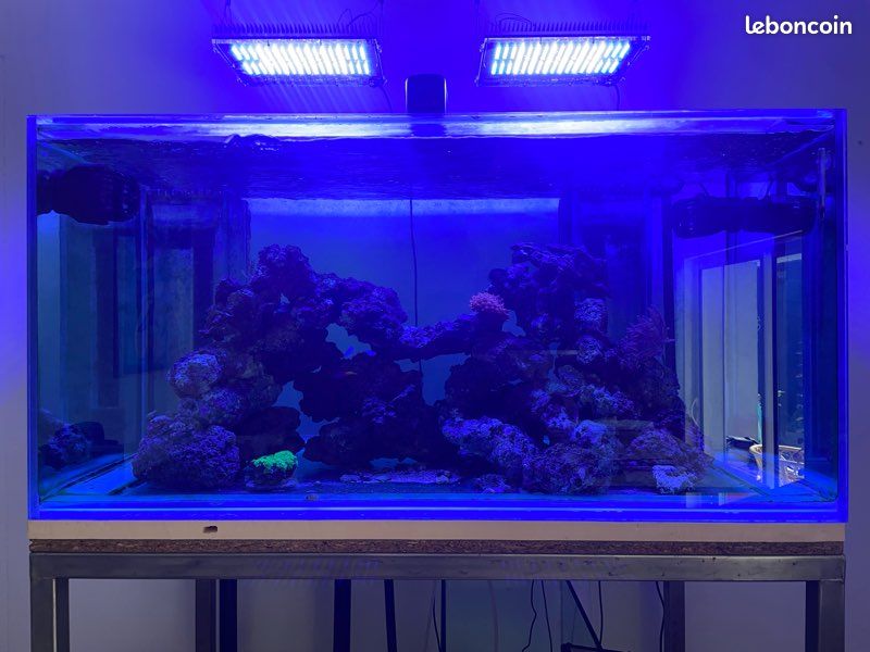 Aquarium récital 500 litres complet (image 2)