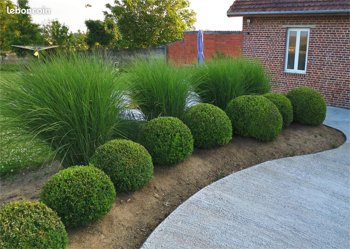 Entretien espaces verts (image 1)