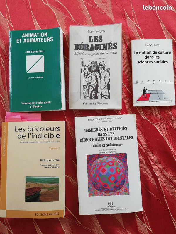 Livre animation et travail social (image 1)