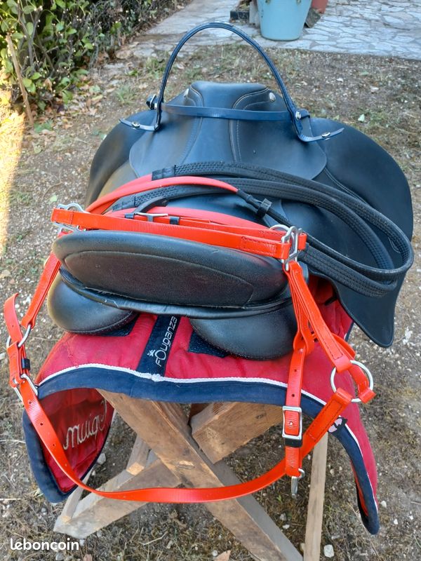 Selle de cheval wintec (image 3)
