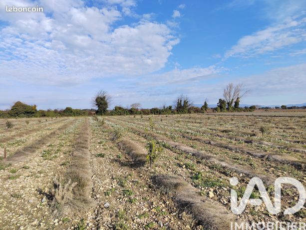 Terrain 4952 m² sainte cecile les vignes