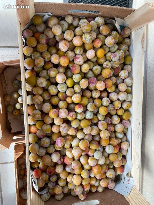 Mirabelles (image 1)