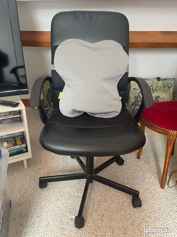 Chaise de bureau + coussin de posture (image 1)
