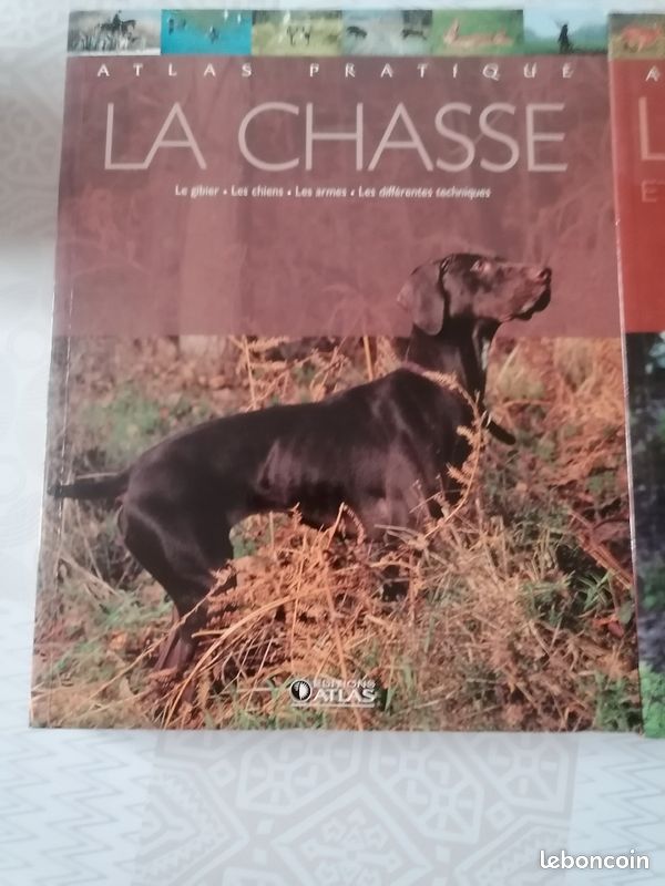 Livre sur la chasse (image 2)