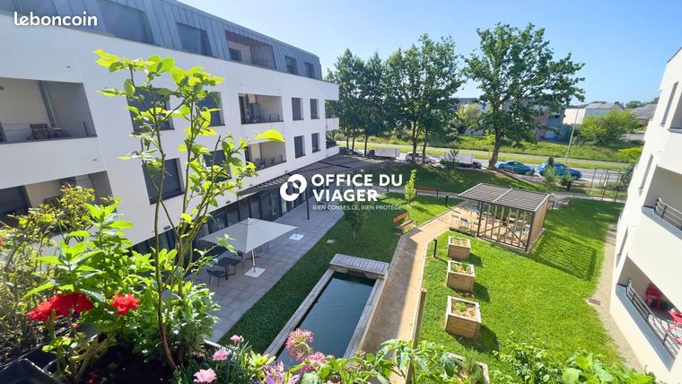 Appartement en Viager 2 pièces 42 m²